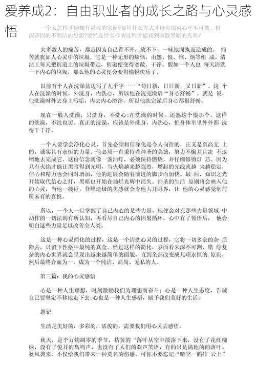 爱养成2：自由职业者的成长之路与心灵感悟