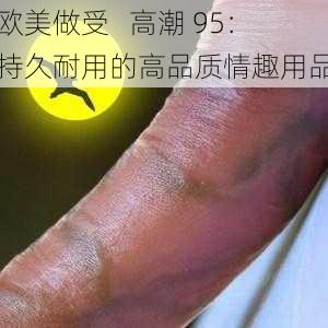 欧美做受   高潮 95：持久耐用的高品质情趣用品