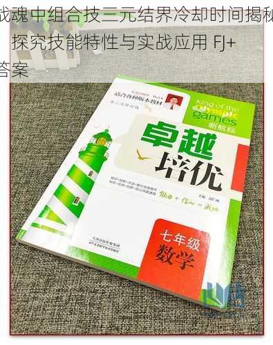 战魂中组合技三元结界冷却时间揭秘：探究技能特性与实战应用 FJ+答案