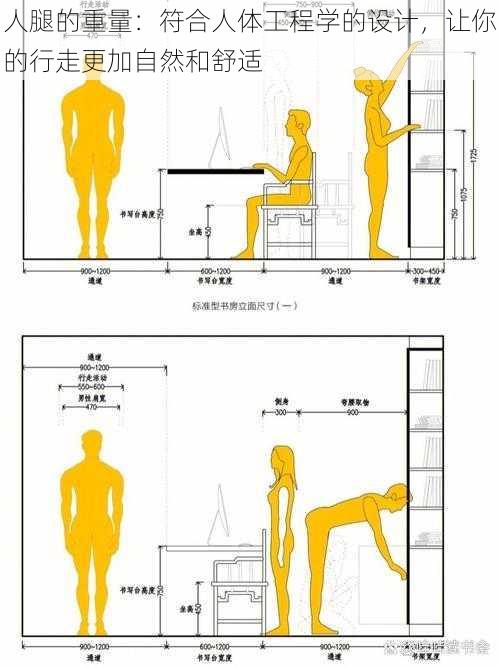 人腿的重量：符合人体工程学的设计，让你的行走更加自然和舒适