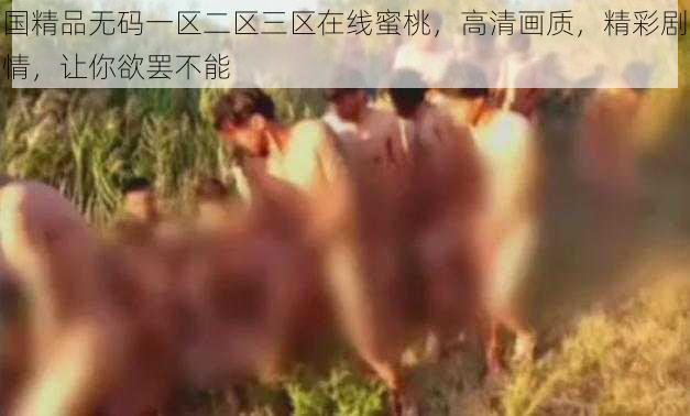 国精品无码一区二区三区在线蜜桃，高清画质，精彩剧情，让你欲罢不能