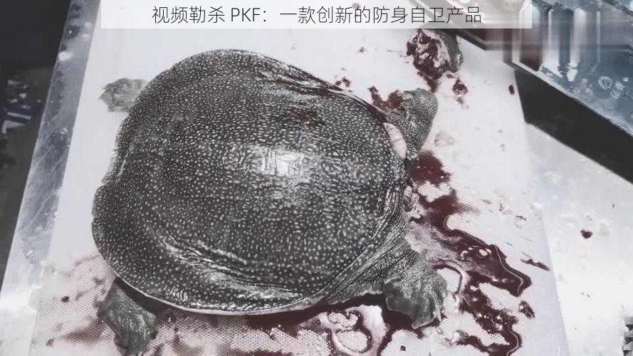 视频勒杀 PKF：一款创新的防身自卫产品