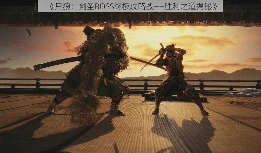 《只狼：剑圣BOSS终极攻略战——胜利之道揭秘》