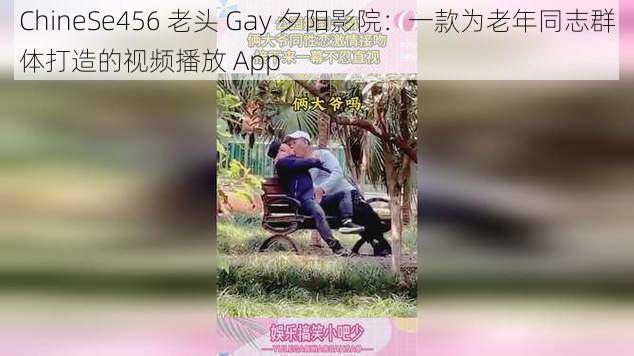 ChineSe456 老头 Gay 夕阳影院：一款为老年同志群体打造的视频播放 App