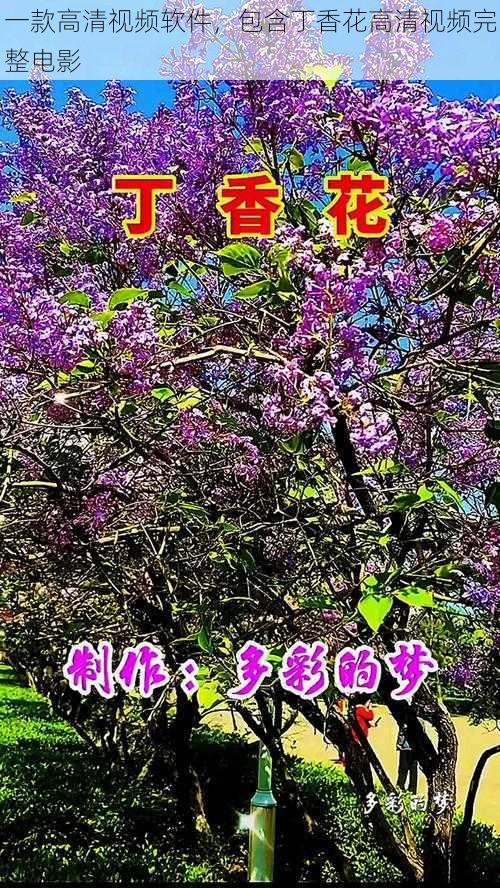 一款高清视频软件，包含丁香花高清视频完整电影