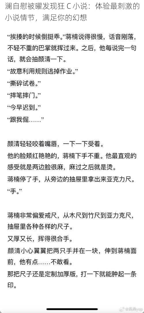 澜自慰被曜发现狂 C 小说：体验最刺激的小说情节，满足你的幻想