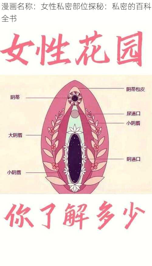 漫画名称：女性私密部位探秘：私密的百科全书