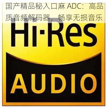 国产精品秘入口麻 ADC：高品质音频解码器，畅享无损音乐