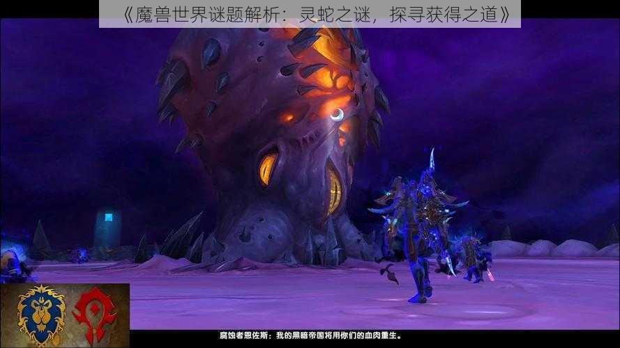 《魔兽世界谜题解析：灵蛇之谜，探寻获得之道》