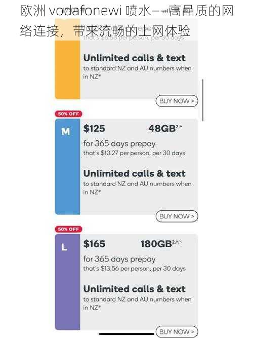 欧洲 vodafonewi 喷水——高品质的网络连接，带来流畅的上网体验