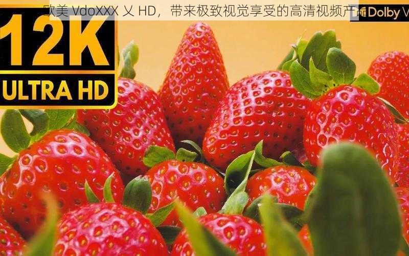 欧美 VdoXXX 乂 HD，带来极致视觉享受的高清视频产品