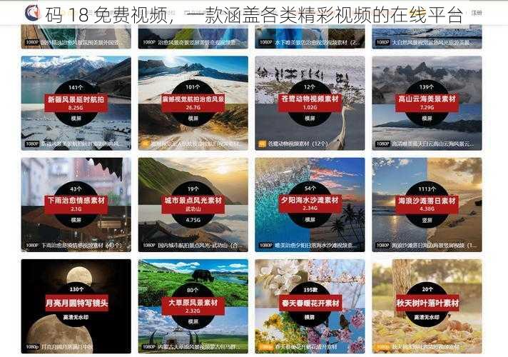 码 18 免费视频，一款涵盖各类精彩视频的在线平台