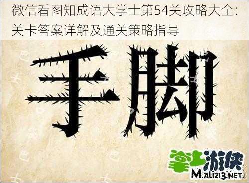 微信看图知成语大学士第54关攻略大全：关卡答案详解及通关策略指导