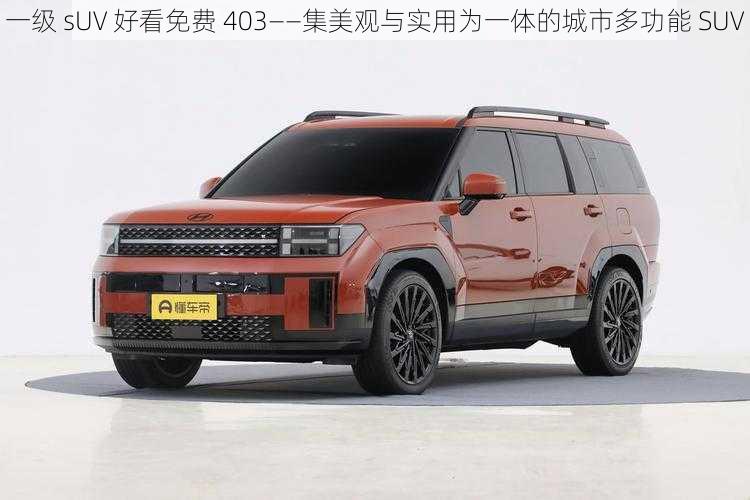 一级 sUV 好看免费 403——集美观与实用为一体的城市多功能 SUV