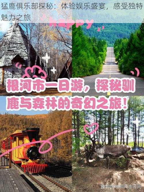 猛鹿俱乐部探秘：体验娱乐盛宴，感受独特魅力之旅