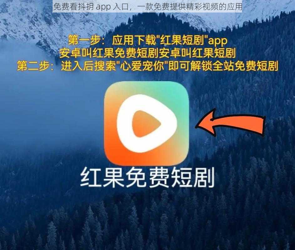 免费看抖抈 app 入口，一款免费提供精彩视频的应用