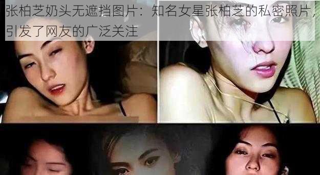 张柏芝奶头无遮挡图片：知名女星张柏芝的私密照片，引发了网友的广泛关注