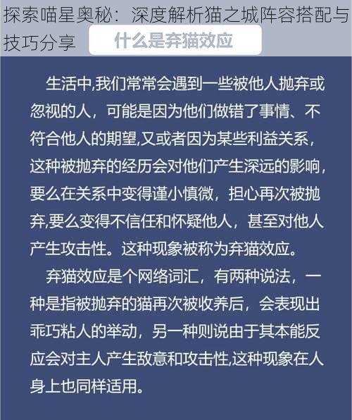 探索喵星奥秘：深度解析猫之城阵容搭配与技巧分享