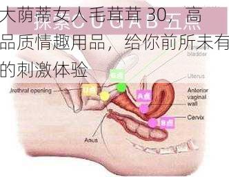 大荫蒂女人毛茸茸 30，高品质情趣用品，给你前所未有的刺激体验