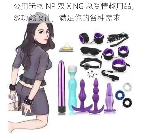 公用玩物 NP 双 XING 总受情趣用品，多功能设计，满足你的各种需求