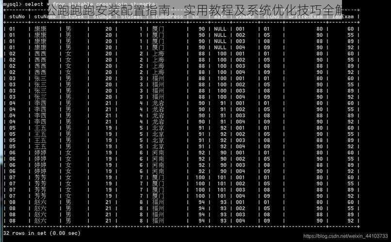 主公跑跑跑安装配置指南：实用教程及系统优化技巧全解析