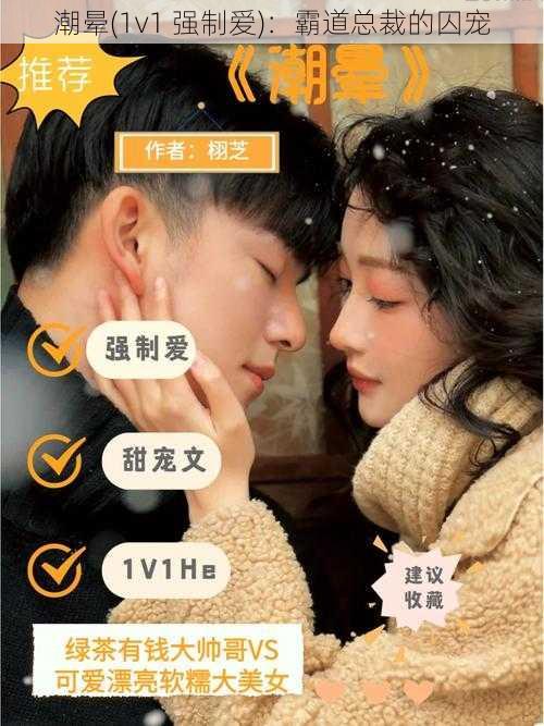 潮晕(1v1 强制爱)：霸道总裁的囚宠