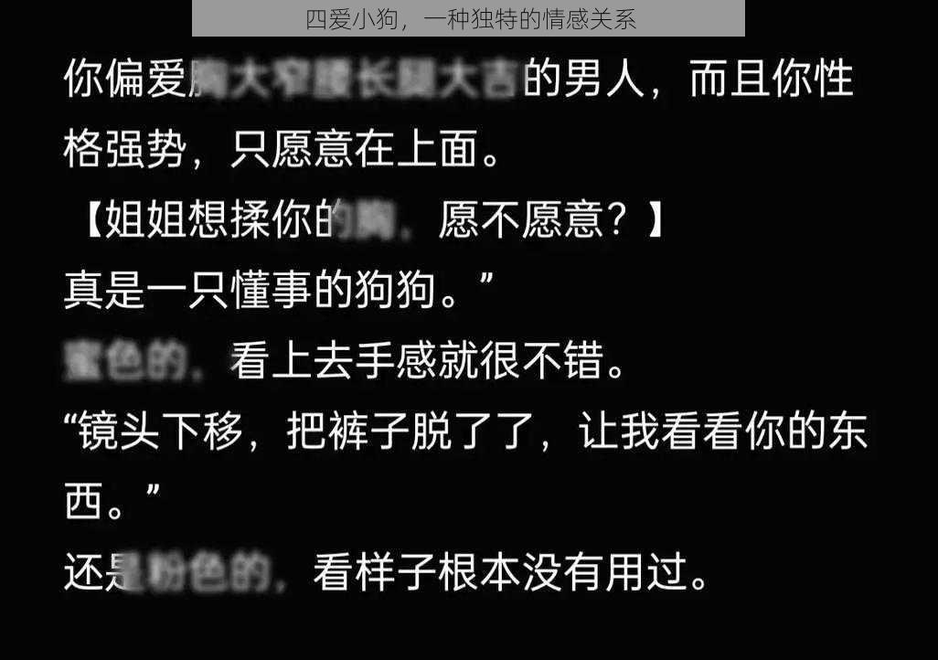 四爱小狗，一种独特的情感关系