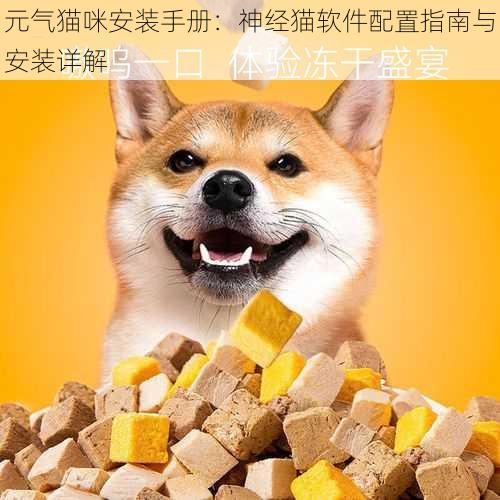 元气猫咪安装手册：神经猫软件配置指南与安装详解