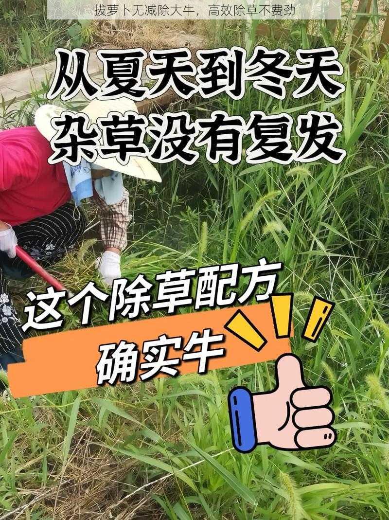 拔萝卜无减除大牛，高效除草不费劲