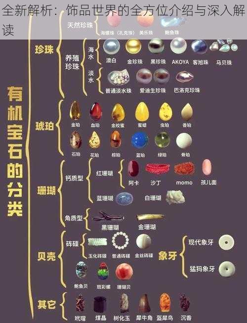 全新解析：饰品世界的全方位介绍与深入解读