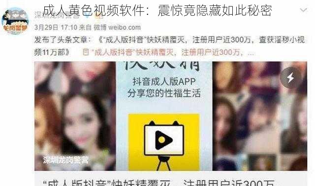成人黄色视频软件：震惊竟隐藏如此秘密