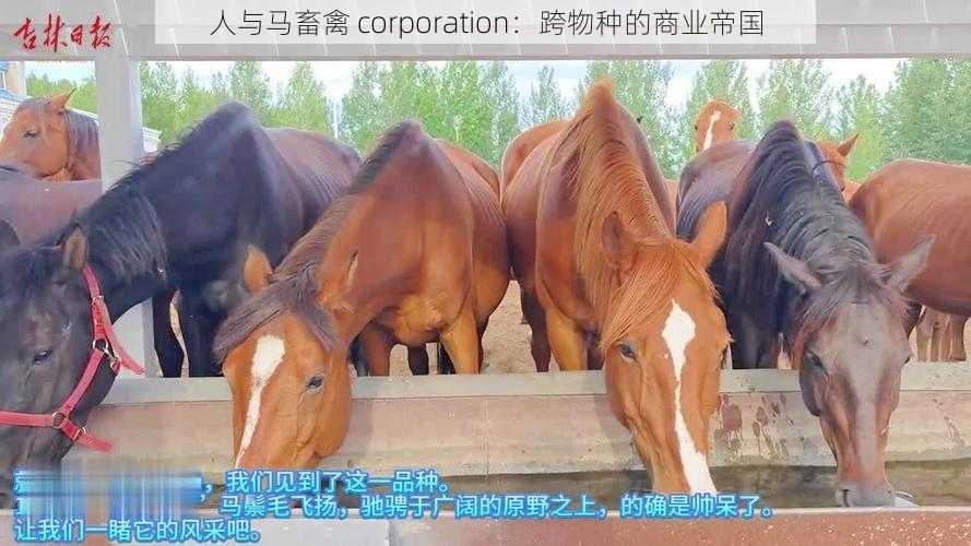 人与马畜禽 corporation：跨物种的商业帝国