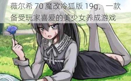 薇尔希 70 魔改冷狐版 19g，一款备受玩家喜爱的美少女养成游戏