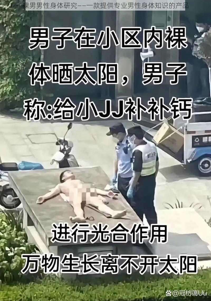 裸男男性身体研究——一款提供专业男性身体知识的产品