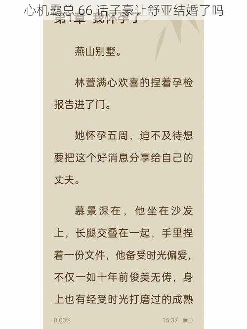 心机霸总 66 话子豪让舒亚结婚了吗