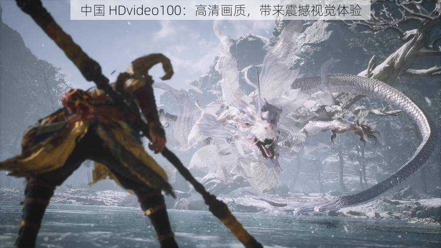 中国 HDvideo100：高清画质，带来震撼视觉体验