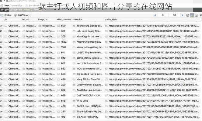 一款主打成人视频和图片分享的在线网站