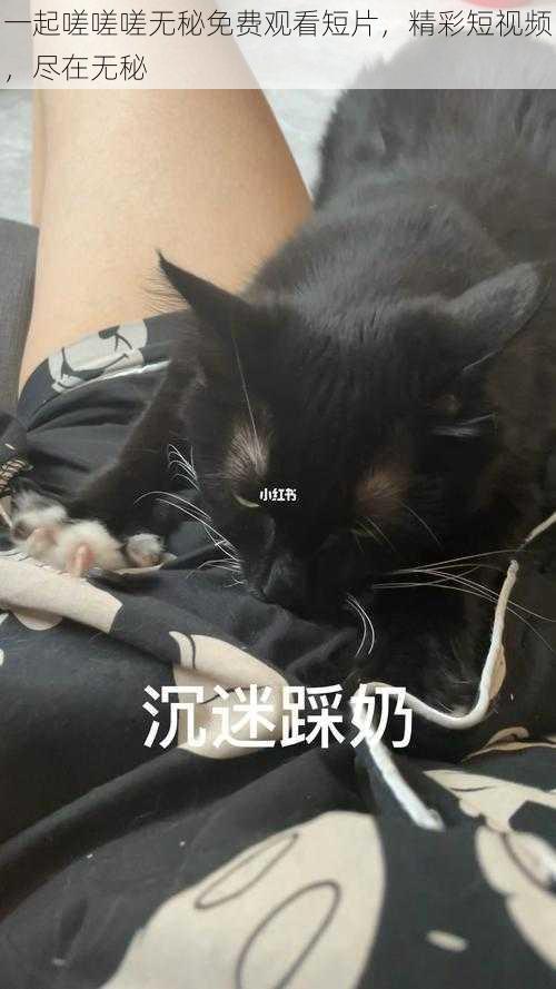 一起嗟嗟嗟无秘免费观看短片，精彩短视频，尽在无秘