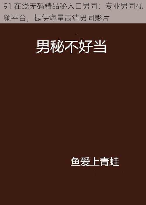 91 在线无码精品秘入口男同：专业男同视频平台，提供海量高清男同影片