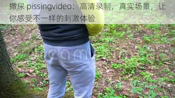 撒尿 pissingvideo：高清录制，真实场景，让你感受不一样的刺激体验