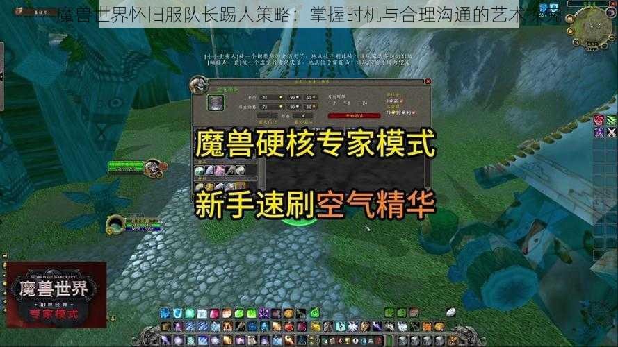 魔兽世界怀旧服队长踢人策略：掌握时机与合理沟通的艺术探究