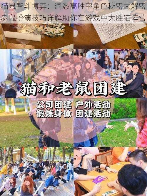 猫鼠智斗博弈：洞悉高胜率角色秘密大解密老鼠扮演技巧详解助你在游戏中大胜猫阵营