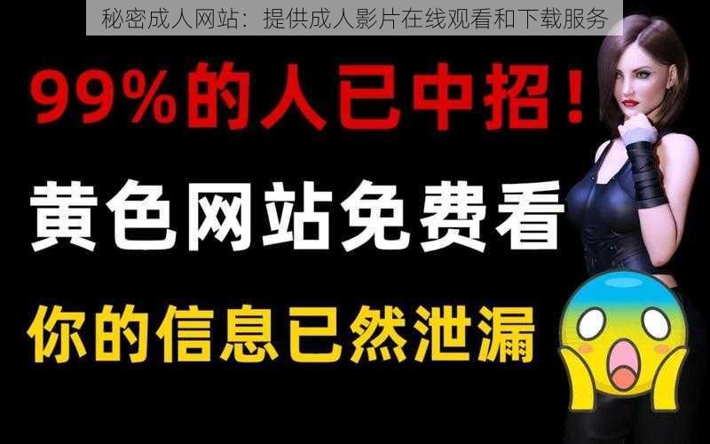 秘密成人网站：提供成人影片在线观看和下载服务