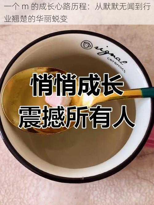 一个 m 的成长心路历程：从默默无闻到行业翘楚的华丽蜕变