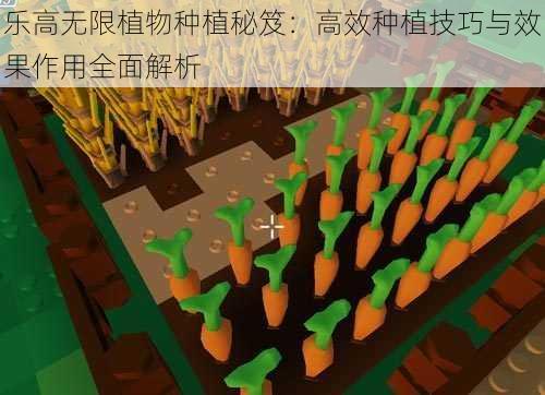 乐高无限植物种植秘笈：高效种植技巧与效果作用全面解析