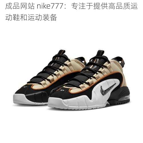 成品网站 nike777：专注于提供高品质运动鞋和运动装备