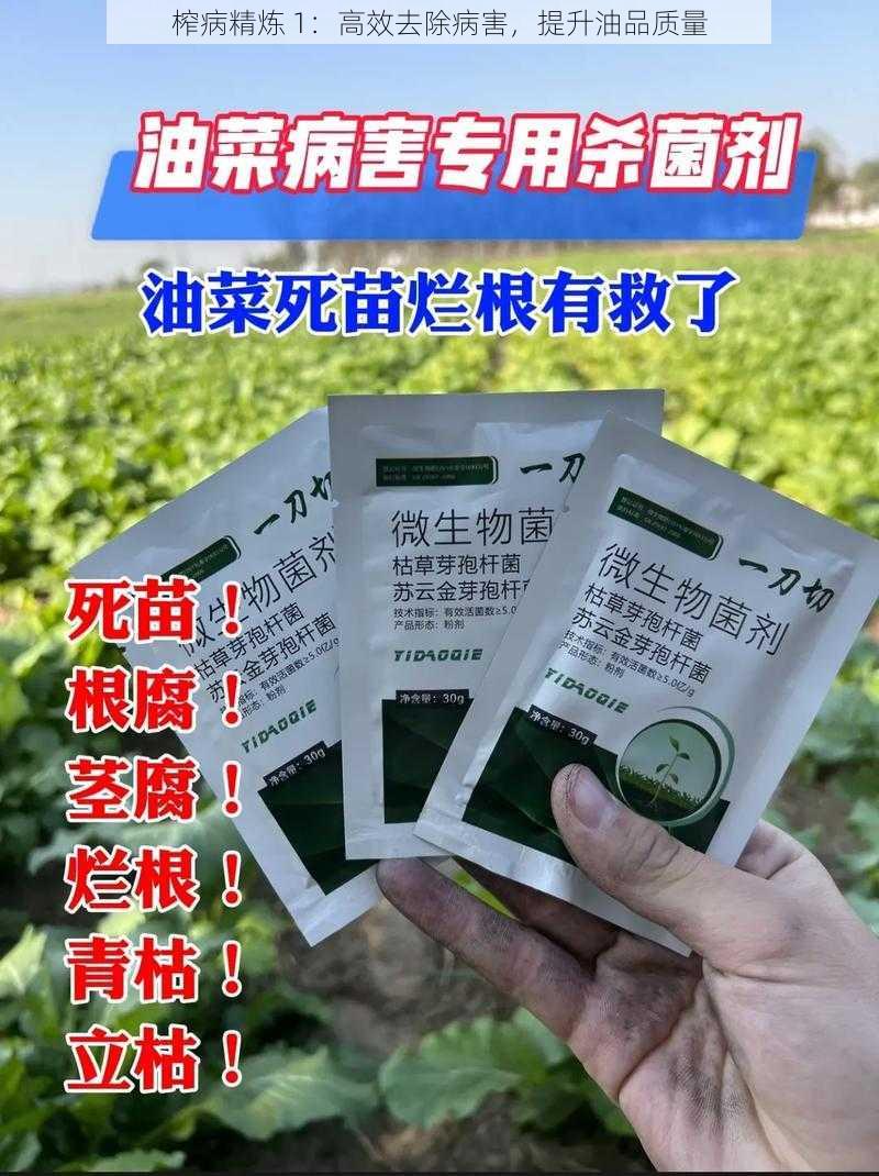 榨病精炼 1：高效去除病害，提升油品质量