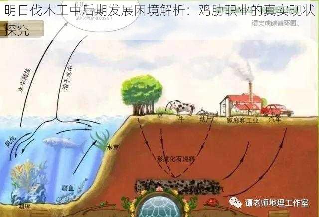 明日伐木工中后期发展困境解析：鸡肋职业的真实现状探究