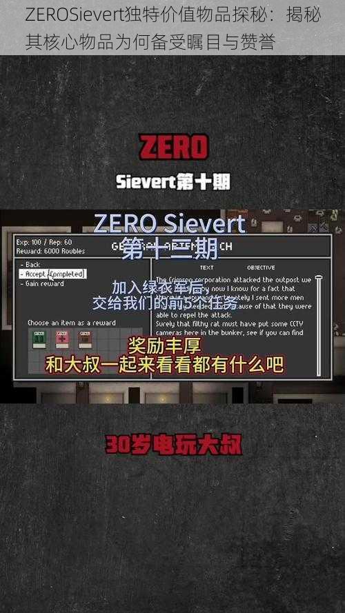 ZEROSievert独特价值物品探秘：揭秘其核心物品为何备受瞩目与赞誉