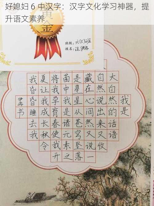 好媳妇 6 中汉字：汉字文化学习神器，提升语文素养